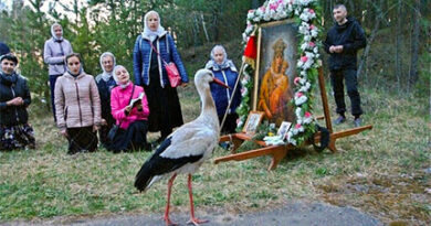 (ВИДЕО) Чудо у Белорусији, све што дише нека хвали Господа! крилати ходочасник