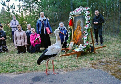 (ВИДЕО) Чудо у Белорусији, све што дише нека хвали Господа! крилати ходочасник